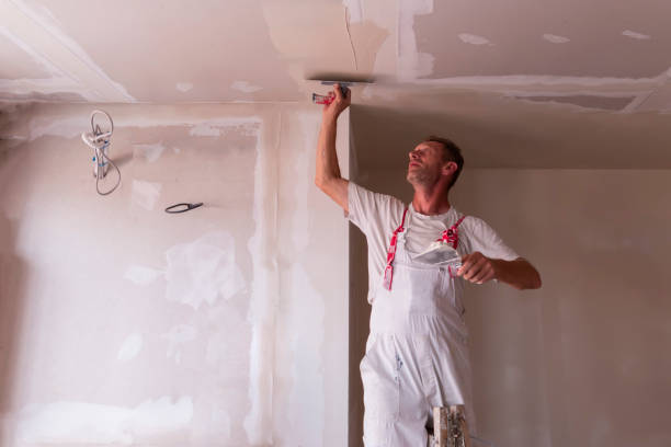 Best Drywall Removal and Disposal  in USA